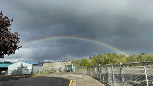 Internet Central (Willy Warmers) Discord server banner