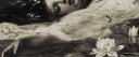 ⋆˚࿔ 𝓯𝓮𝓪𝓽𝓱𝓮𝓻𝓯𝓪𝓵𝓵 𝜗𝜚˚⋆ server banner