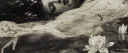 ⋆˚࿔ 𝓯𝓮𝓪𝓽𝓱𝓮𝓻𝓯𝓪𝓵𝓵 𝜗𝜚˚⋆ server banner