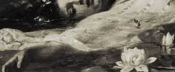 ⋆˚࿔ 𝓯𝓮𝓪𝓽𝓱𝓮𝓻𝓯𝓪𝓵𝓵 𝜗𝜚˚⋆ server banner