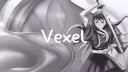 Vexel banner