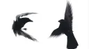 /inside banner