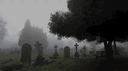 ⊱༺༒༻⊰ banner