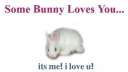 ˖Ი𐑼ֶָ֢　　　Soli's Bunny Cafe        — ᨳଓ . server banner