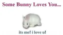 ˖Ი𐑼ֶָ֢　　　Soli's Bunny Cafe        — ᨳଓ . server banner