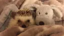 :3 server banner