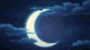 The Luna Room server banner