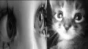 ノpoems ☆ tags﹒giveaways﹒social﹒friends﹒decor﹒events﹒selfies Discord server banner