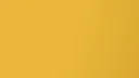 tren.ch banner