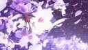 ᴏʀᴄʜɪᴅ ˖᯽ ݁˖ server banner
