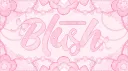 Blush ୨୧   Social ㆍAnime ㆍCute server banner