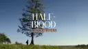 Half-Blood Headquarters server banner