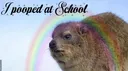 Wombatcord banner