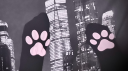 layne's e-kittens server banner