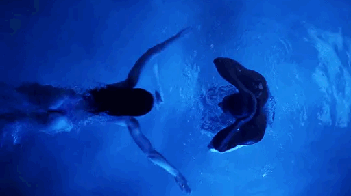 ۶ৎ ⋮ ࣪ ˖⚢ .° ℓєѕвσѕ Discord server banner