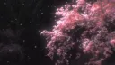 ˖˳·˖ ִֶָ ⋆ℤ𝕠𝕟𝕖 𝔾𝔾⋆ ִֶָ˖·˳˖ ִֶָ server banner