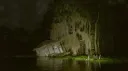 Everglades 18+ server banner