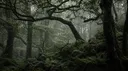 i ノdreamt of u ᶻ𝗓𐰁 banner