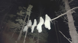 𝑫𝑰𝑺𝑬𝑵𝑪𝑯𝑨𝑵𝑻𝑬𝑫 𝑾𝑯𝑰𝑺𝑷𝑬𝑹𝑺 18+ server banner