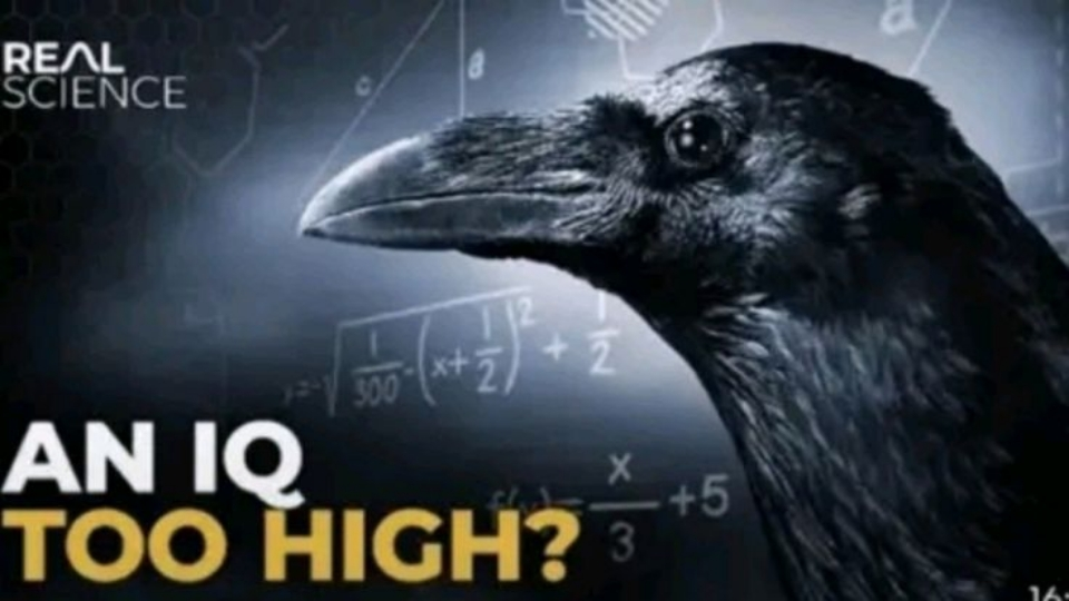 Failed Abortions Discord server banner