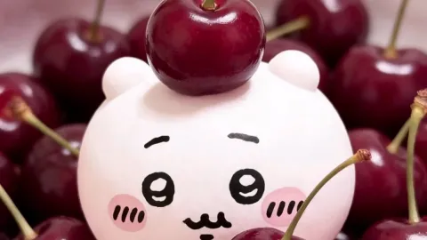 cherries ΛΛΛ π ΛΛΛ banner
