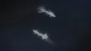 𝐉𝐉𝐊 || 𝐆𝐨𝐥𝐝𝐞𝐧 𝐇𝐨𝐮𝐫 server banner