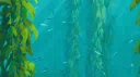 KELP | Schematics & Giveaways server banner