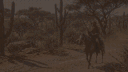 Nordeste RP READ DEAD banner