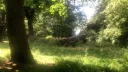 Howl ‘Heart Meadows Discord server banner