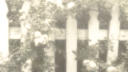 ᨳ ִֶָ. Ruri's Lumengarden ࿐ Discord server banner