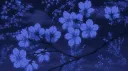 zanzan.tm Discord server banner