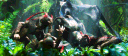 ‧₊˚ ⋅🌿 𝒜𝓋𝒶𝓉𝒶𝓇 🌱𓂃 ࣪ ִֶָ. Discord server banner