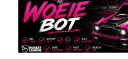 WoeieBot server banner