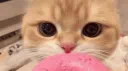 frixowns's Giveaway Hideout Discord server banner