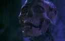 ✦ ⌇ ravaging rotters！[ZOMB tag] server banner