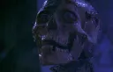 ✦ ⌇ ravaging rotters！[ZOMB tag] server banner