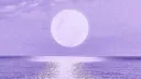 ✧*⏤͟͟͞͞☆SԵαɾ ẼsԵմαɾվ•˚∘˙༄ Discord server banner