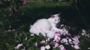 gutz's grove Discord server banner