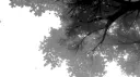 the locals .ᐟ.ᐟ Discord server banner
