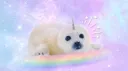 ✚　 ͜𝒴ume land     .ᐟ  💒 server banner