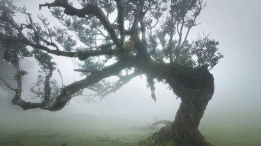 yearn Discord server banner