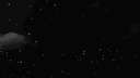 nights bot banner