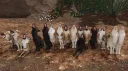 The Cardinal Collective ⊹₊⟡⋆ server banner