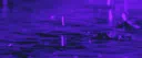 /euphoriaa Discord server banner