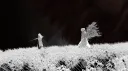 コイバース - 𝐊𝐎𝐈𝐕𝐄𝐑𝐒𝐄 Discord server banner