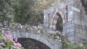 𓂃 valored veil﹑𝜗𝜚 server banner