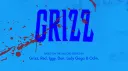 Grizz & Co. Incorporat server banner