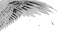／ lasting server banner