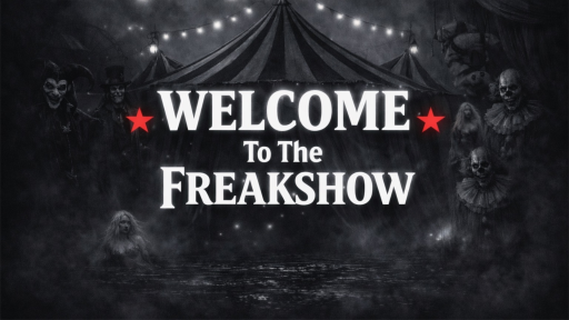 ⋆₊˚✧𝔽𝕣𝕖𝕒𝕜𝕤𝕙𝕠𝕎✧˚₊⋆ (25+) Discord server banner