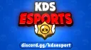 KDS Esports banner